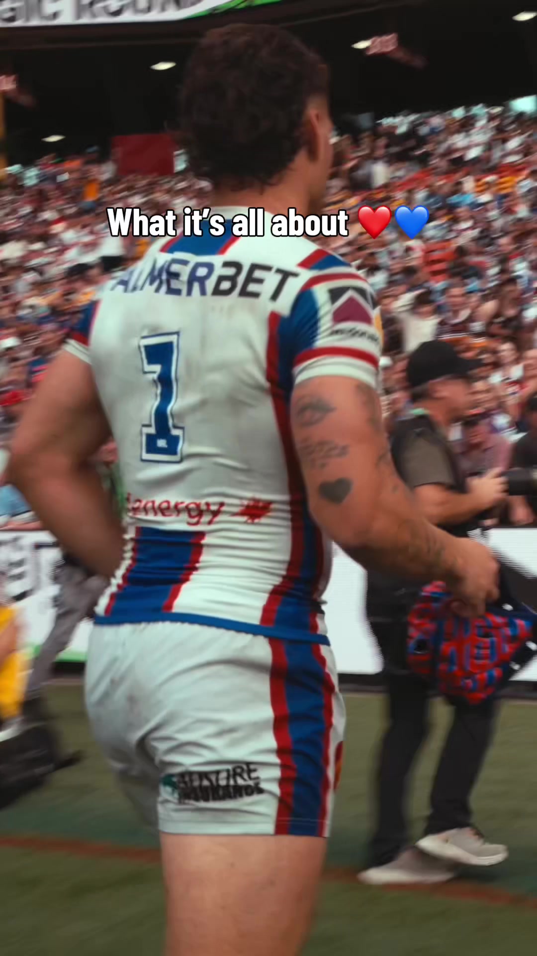 @Newcastle Knights