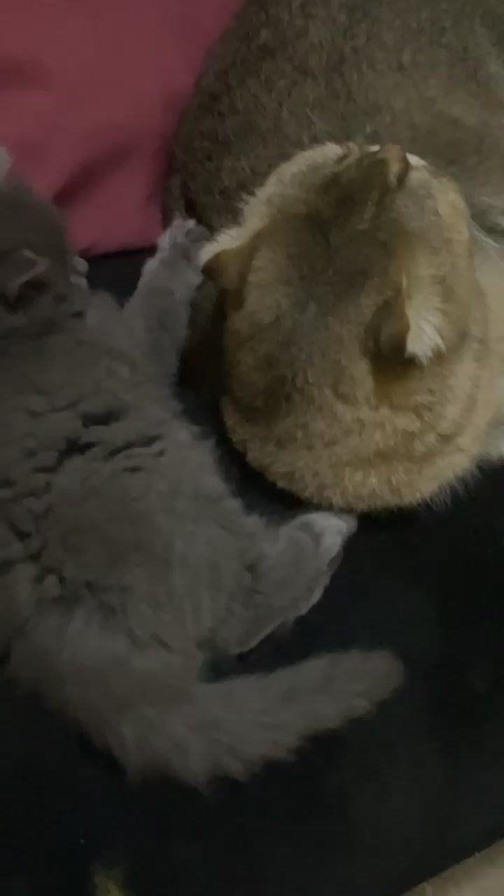 @kkkkkkkkkl