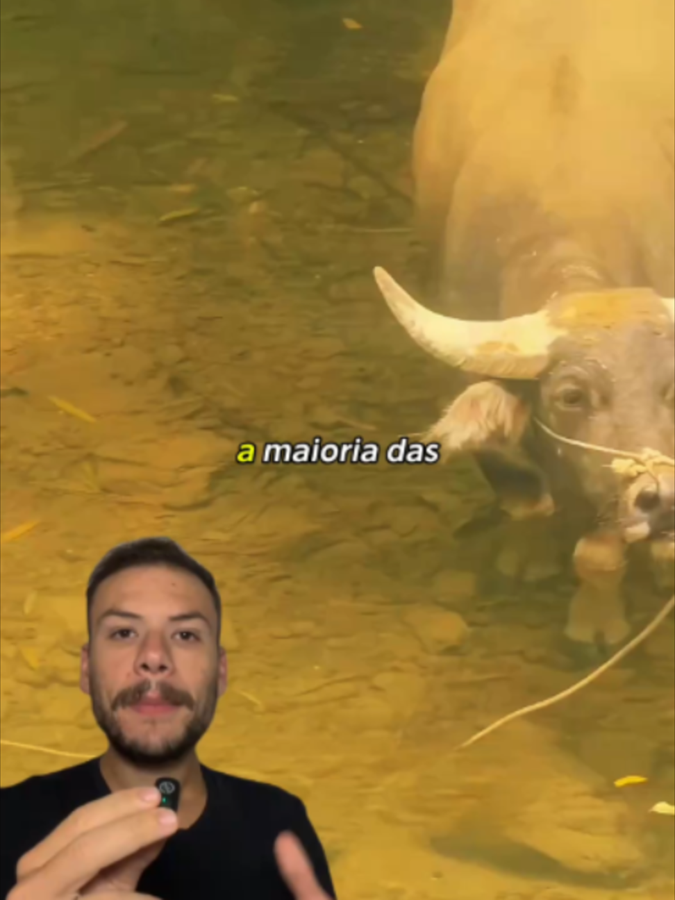 @Gabriel Garcia