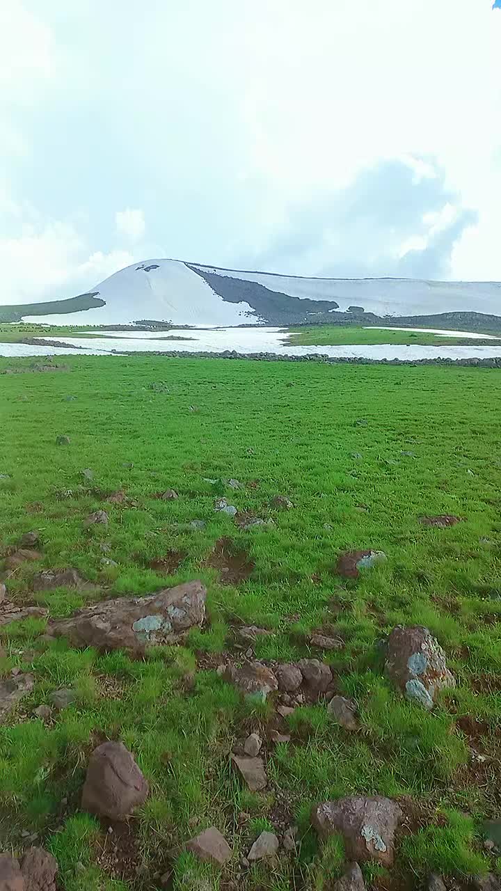 @yılmaz mustafa şen