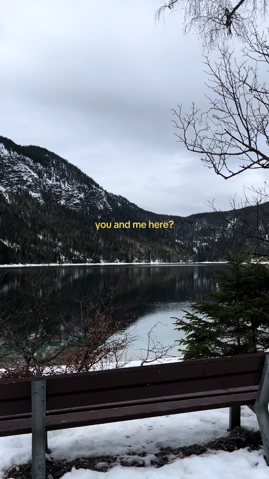 @nicole