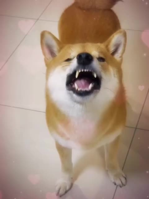 @papyrusarea19