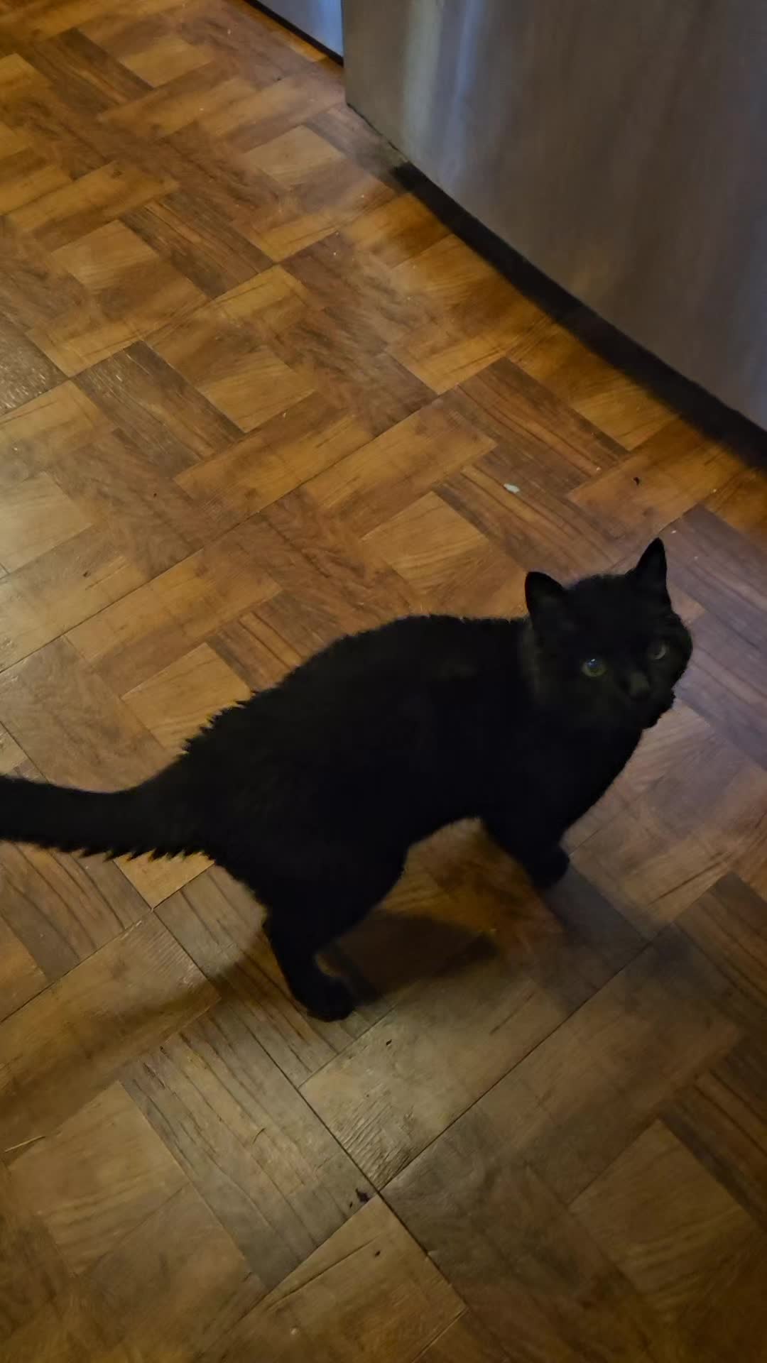 @Alyss Winkler