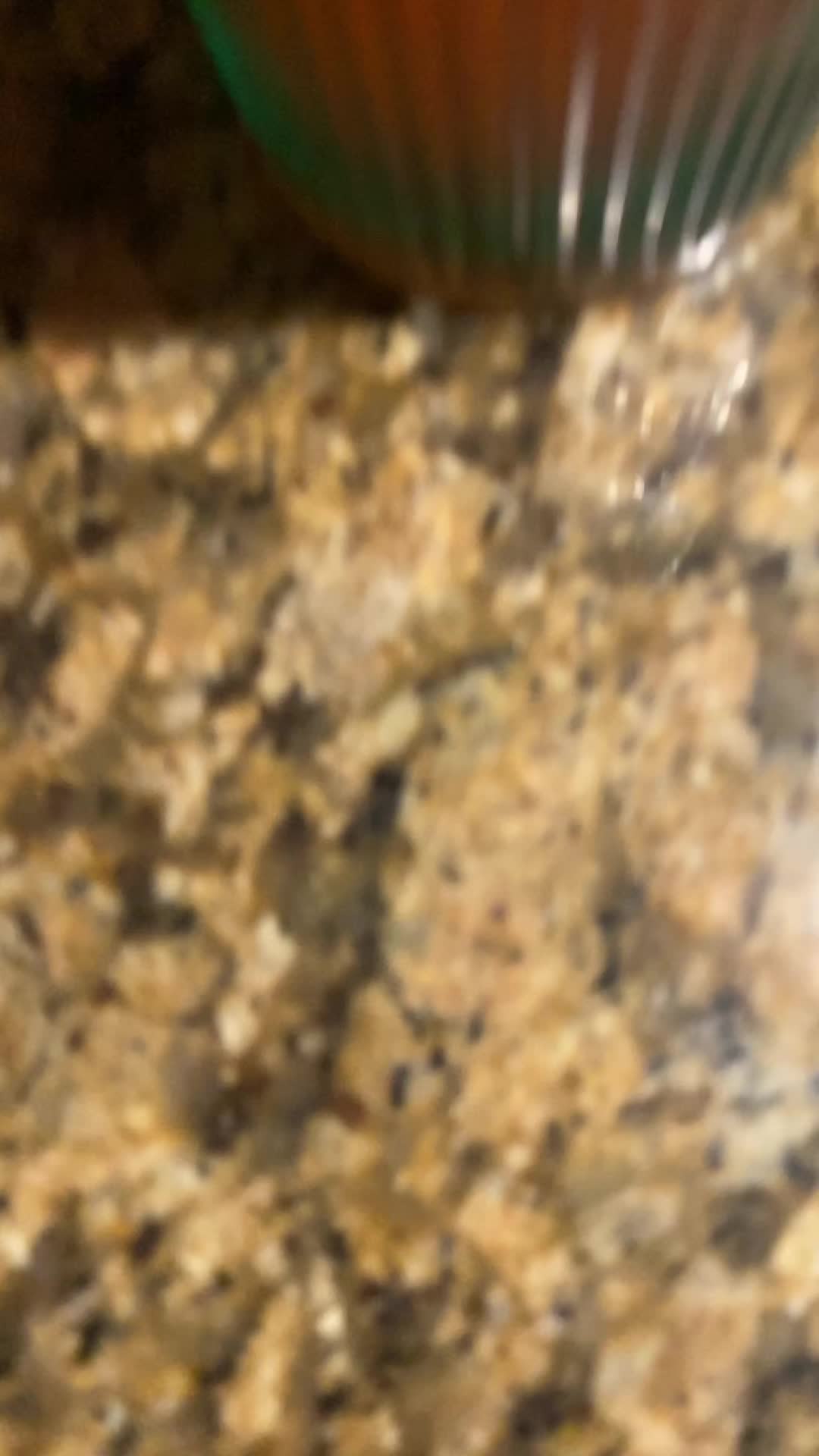 @๐๐ฅ ๐๐๐๐๐