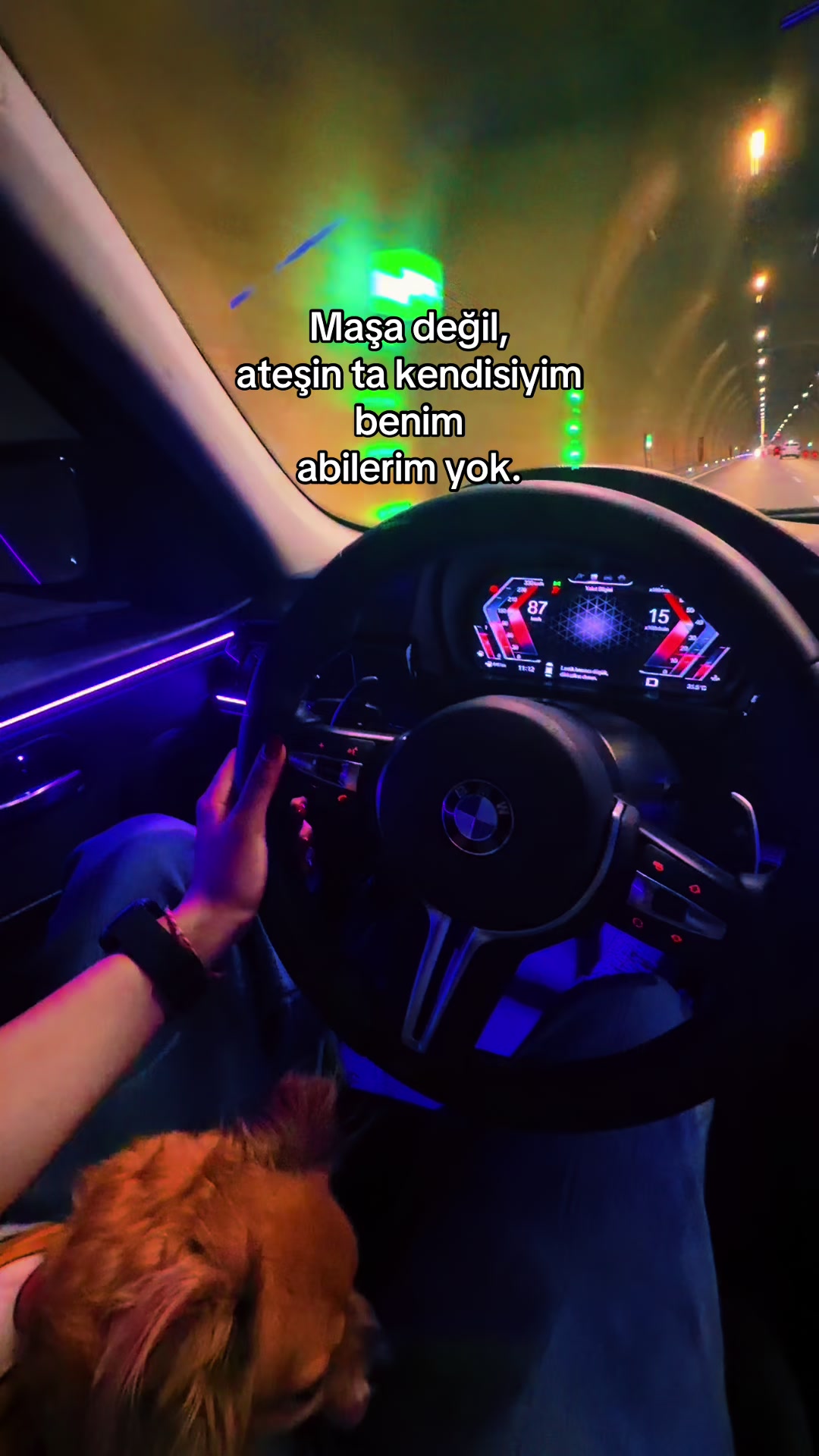 @Büşra🐅