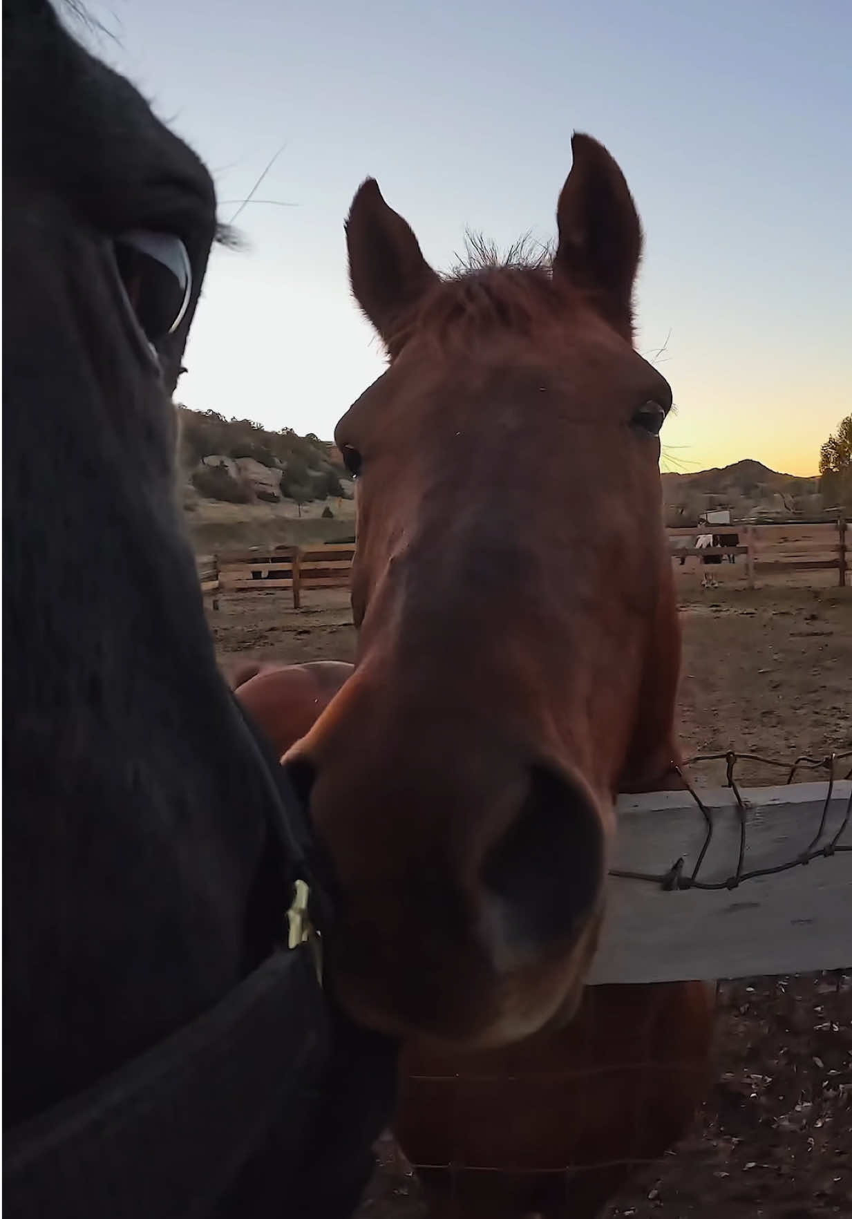 @GoPro