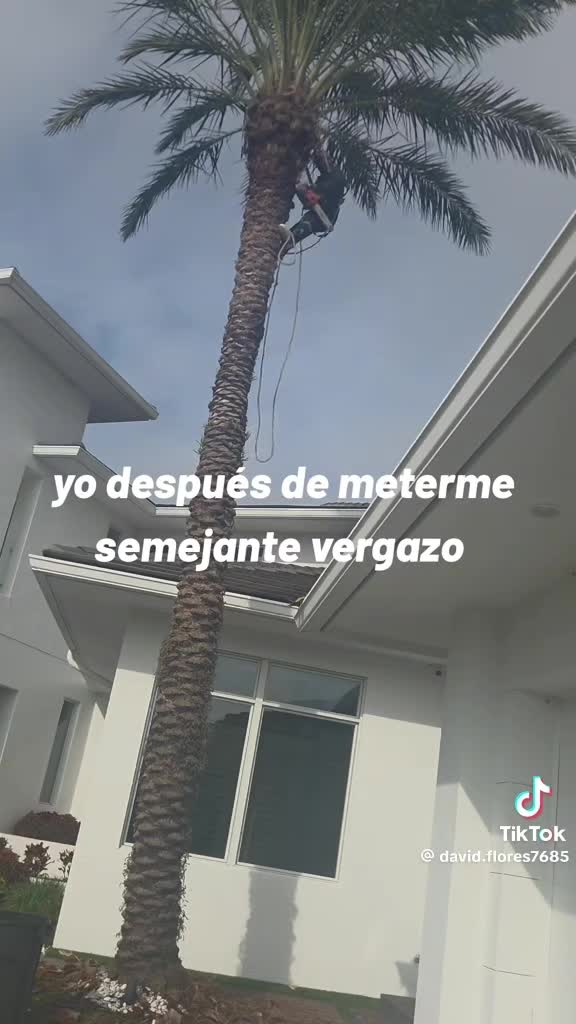 @AMLOVER