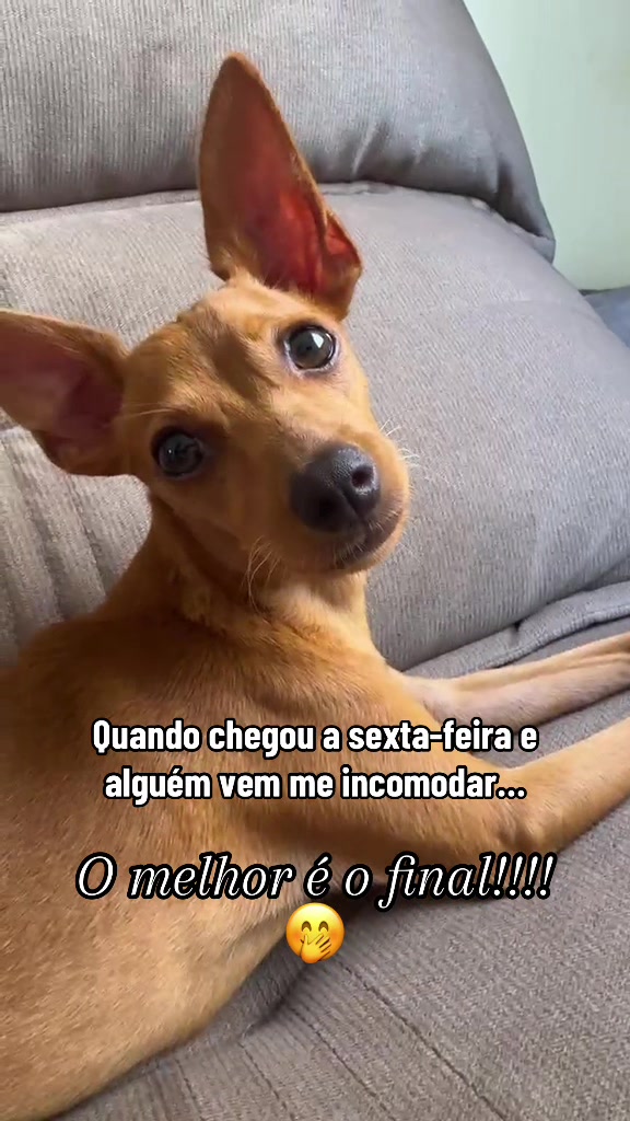 @Elane Carneiro