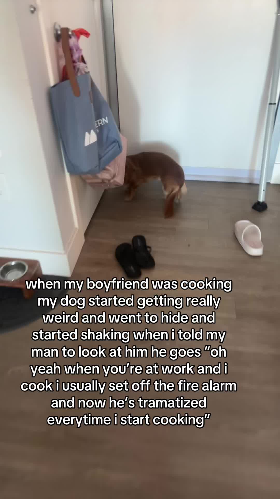 @𝓓𝓪𝓷𝓲𝓮𝓵𝓵𝓮 🤍