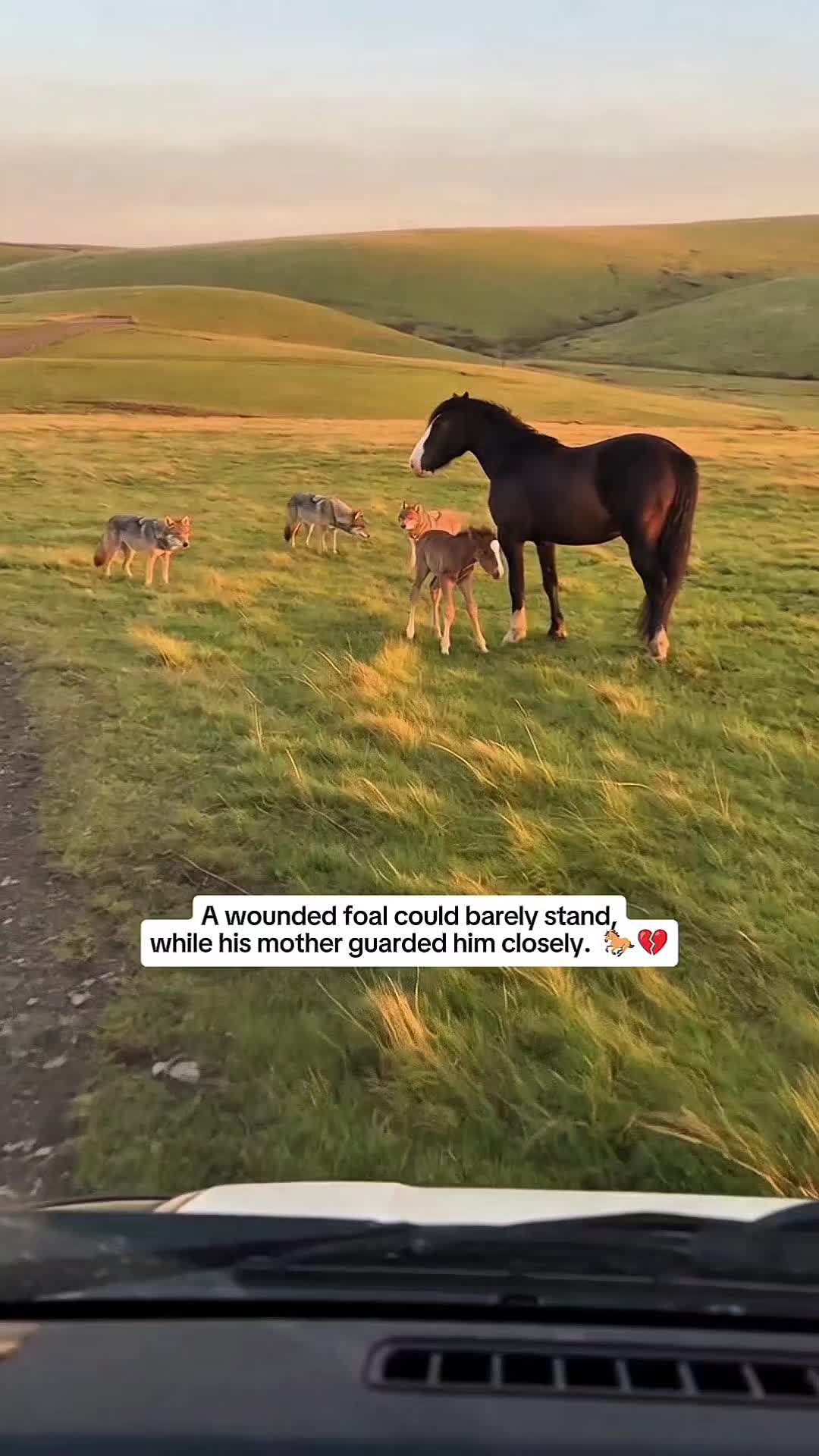 @WildwonderzZzz