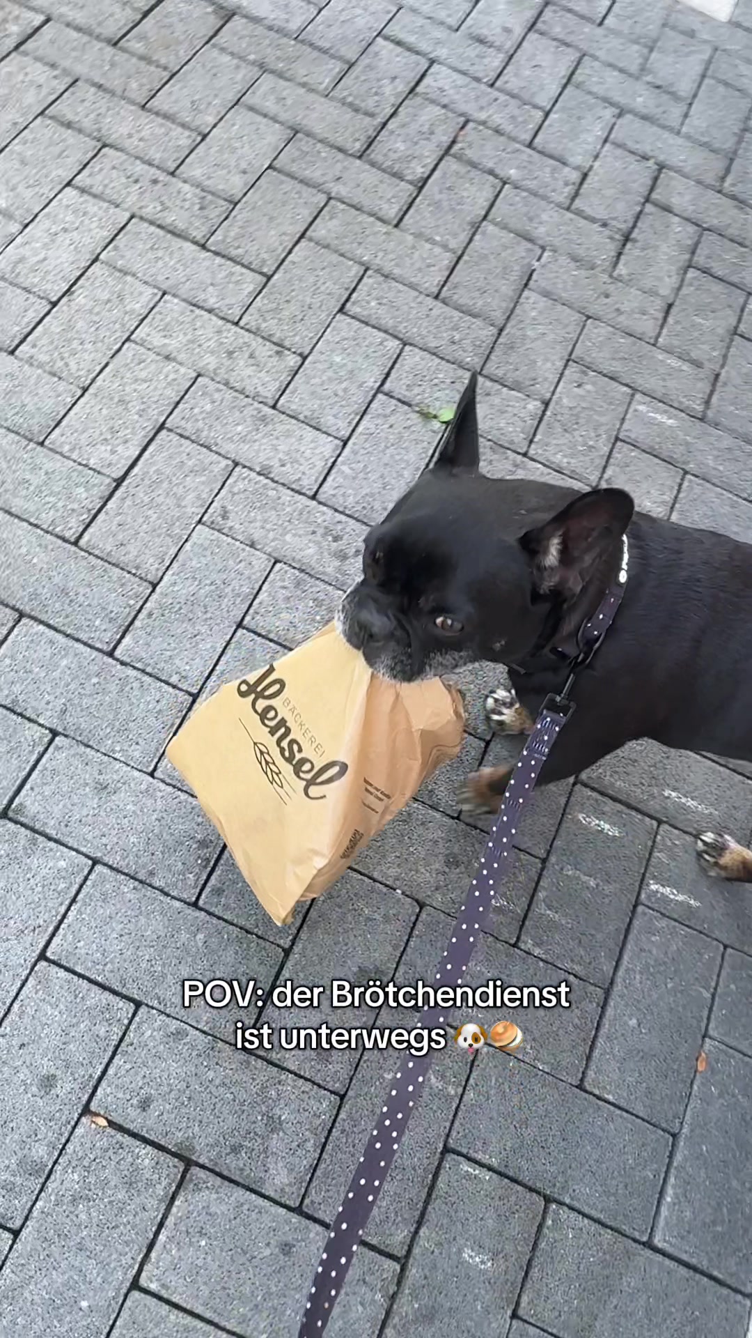 @Carlchenswelt