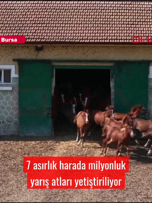 @Demirören Haber Ajansı