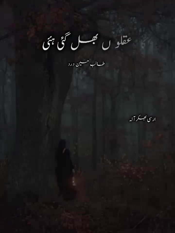 @*`★彡 ارسی بھکر آلہ 彡★*