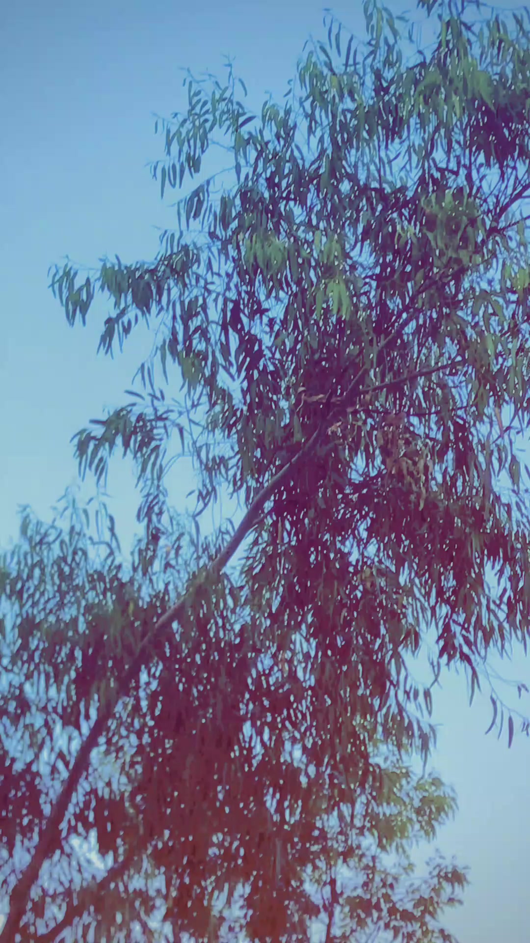 @💙تور عمر جان 💙