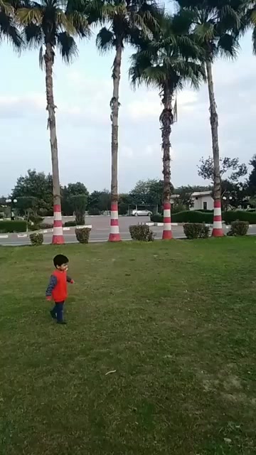 @Talha Sajid