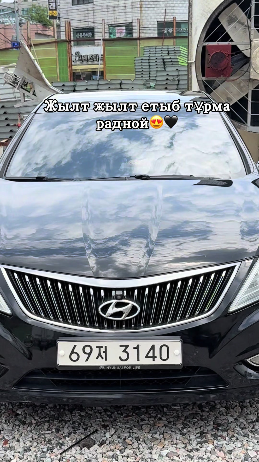 @mamir_kz