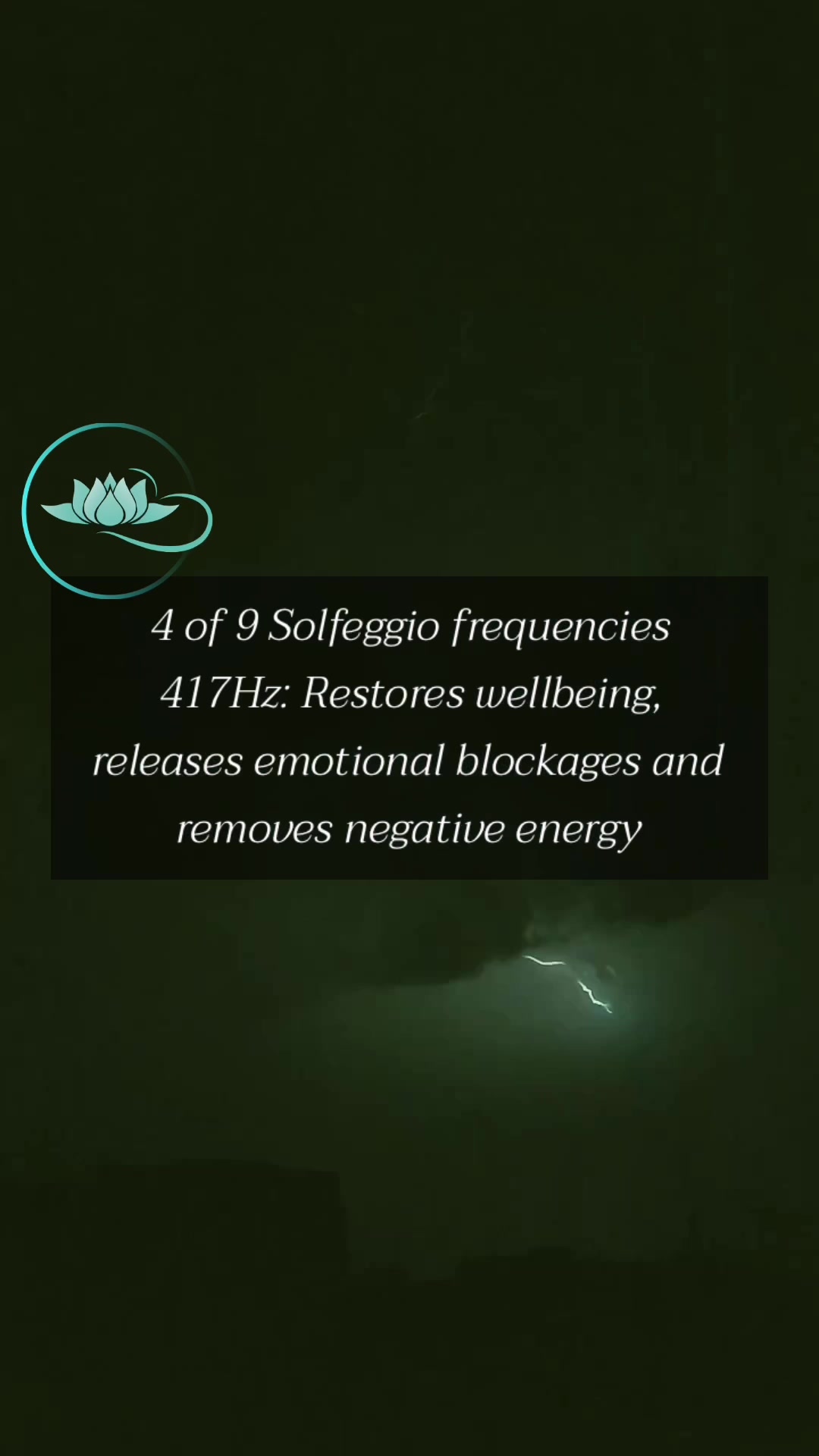 @Rainforest Holistics