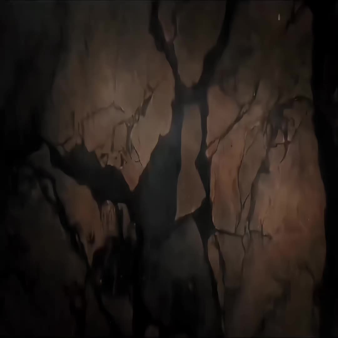 @𝑨𝑼𝑹𝑨👻