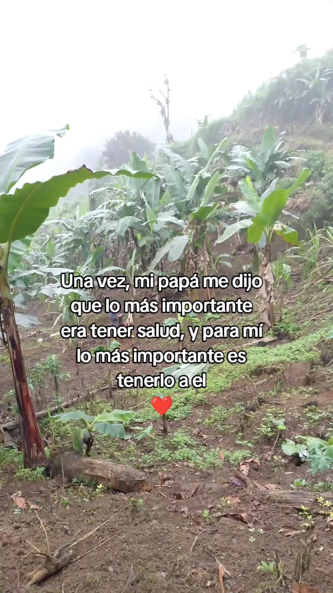 @Rios Medina