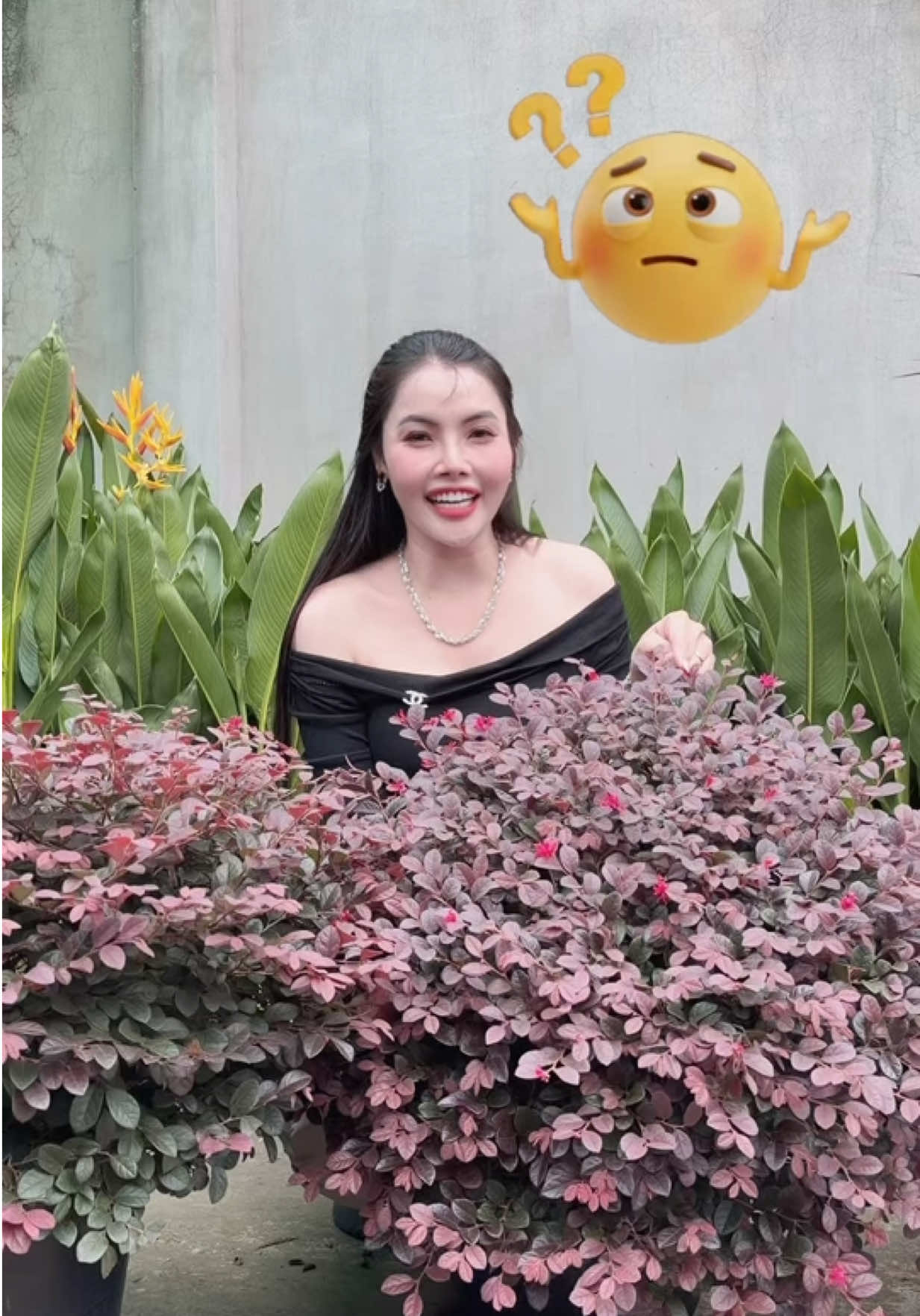 @Tiệm Lá Nhỏ