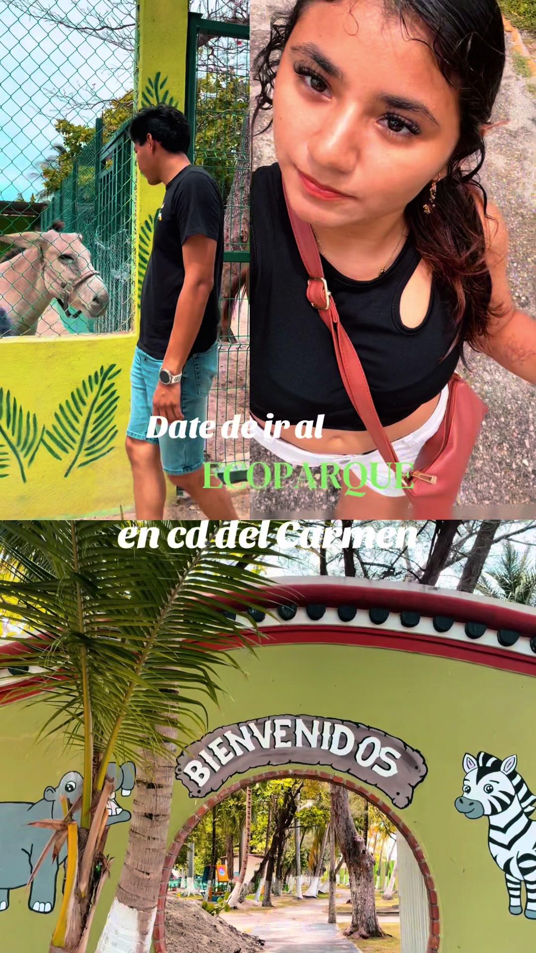 @saju