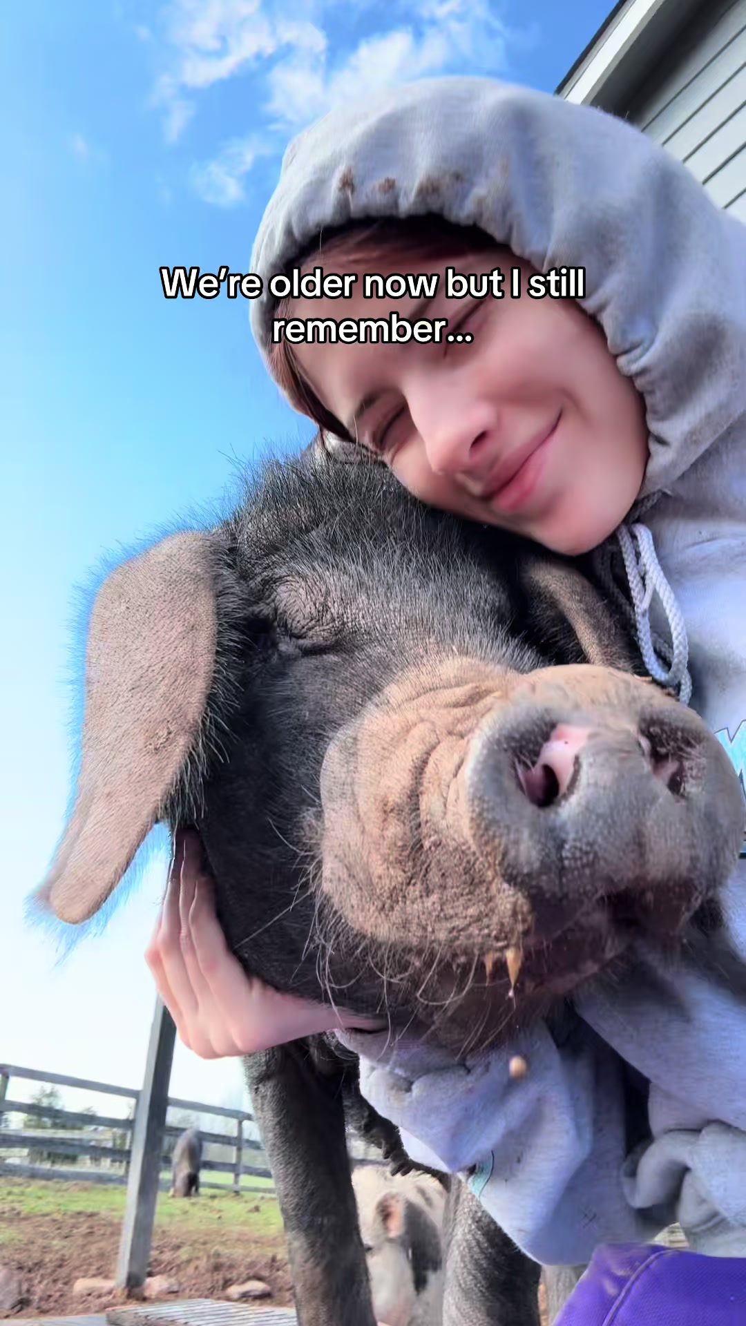 @Sofias snout life 🐽