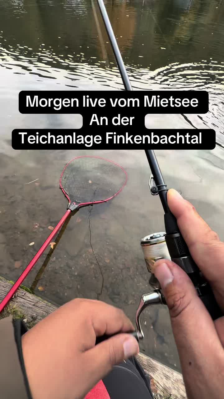 @Fishing_DP