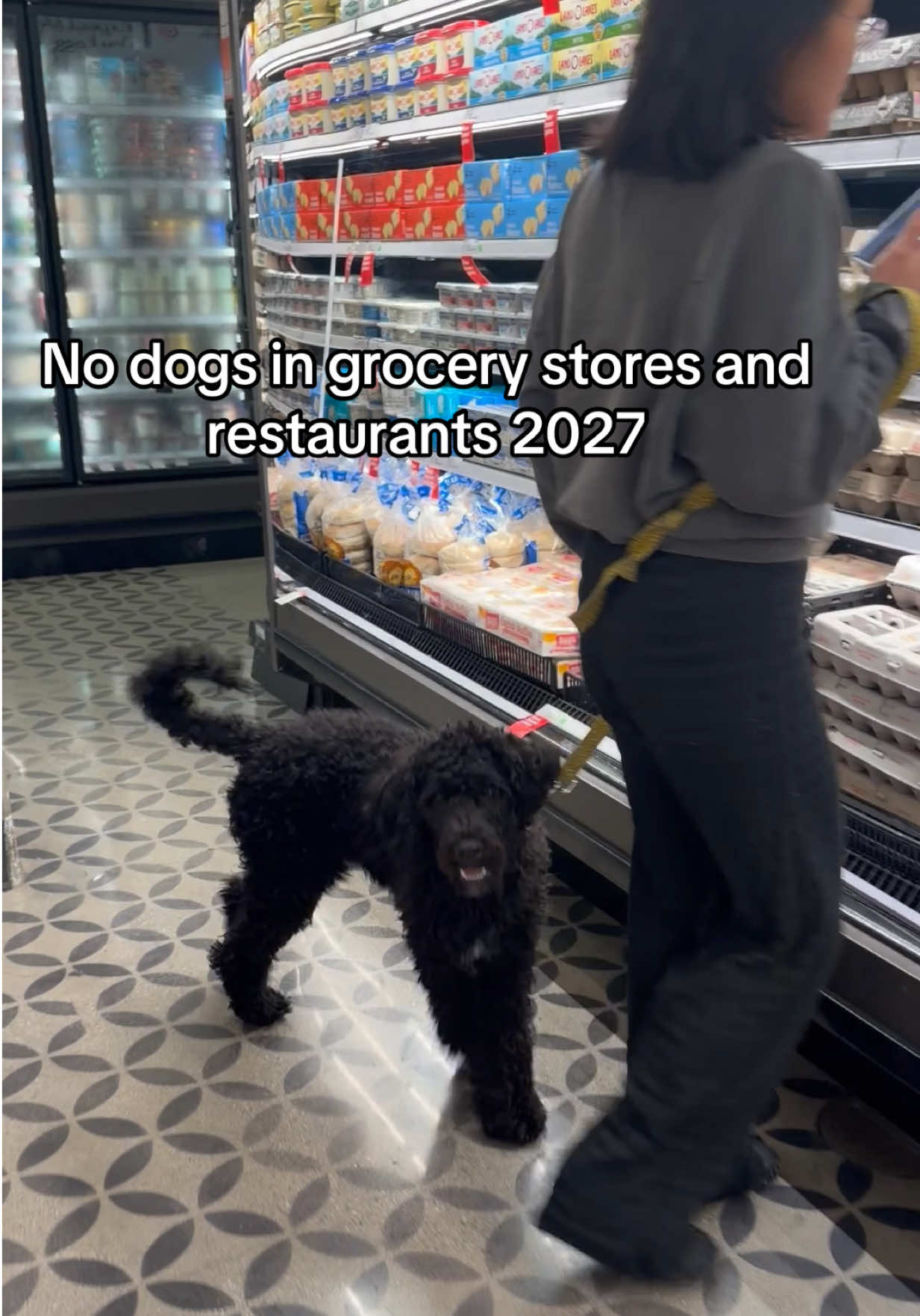 @Dogs aren&rsquo;t Family