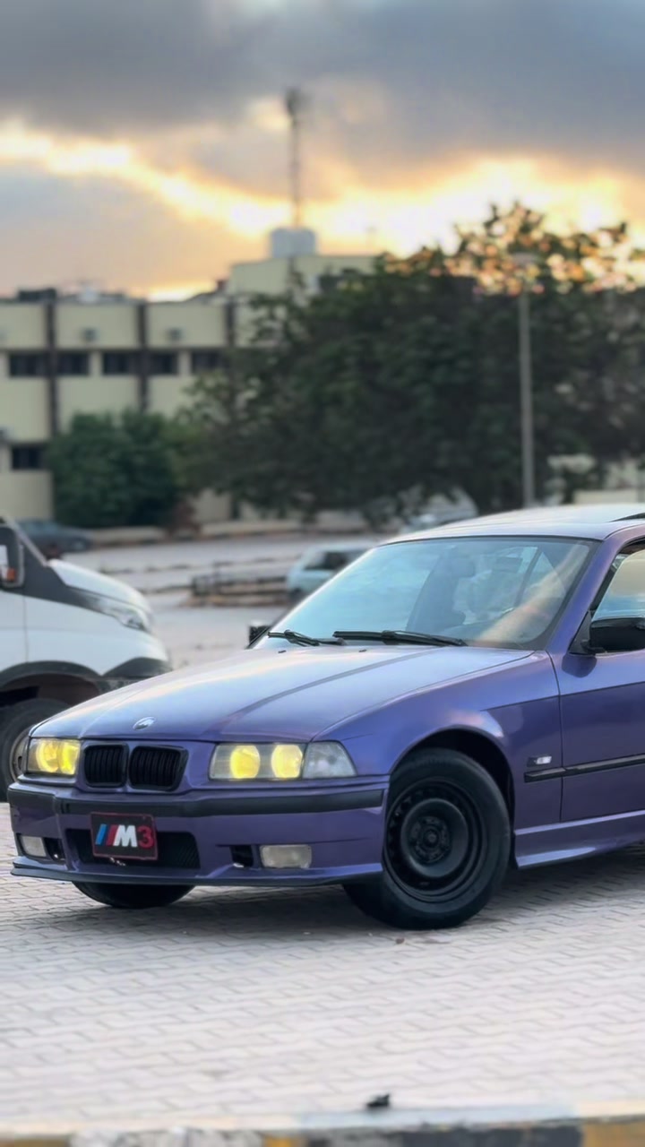 @Adel Al-Nayli