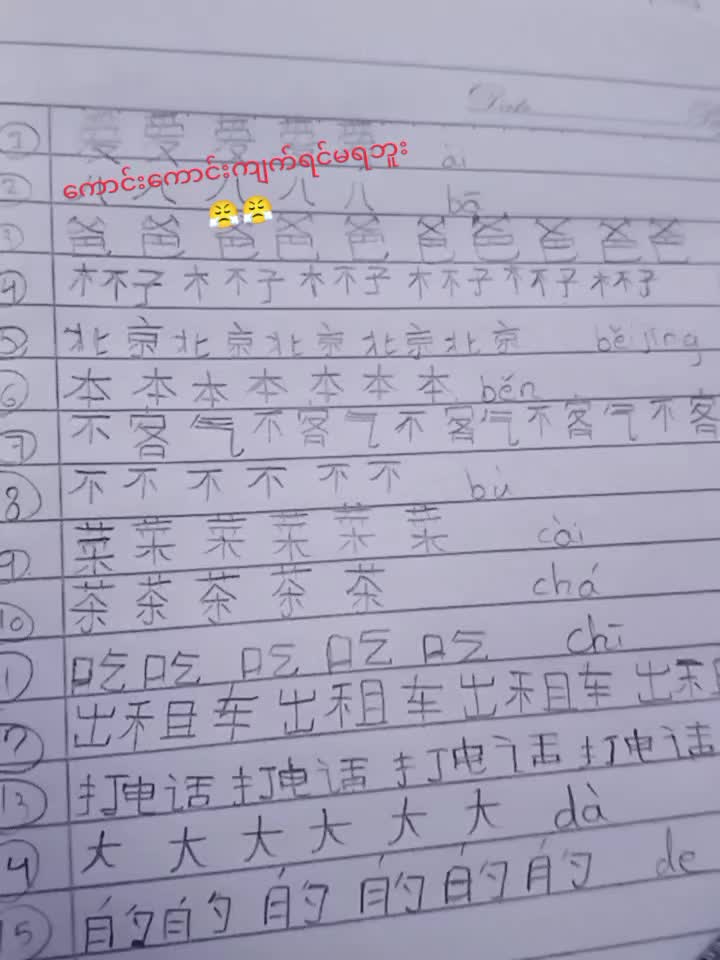 @🌸华裔🌸