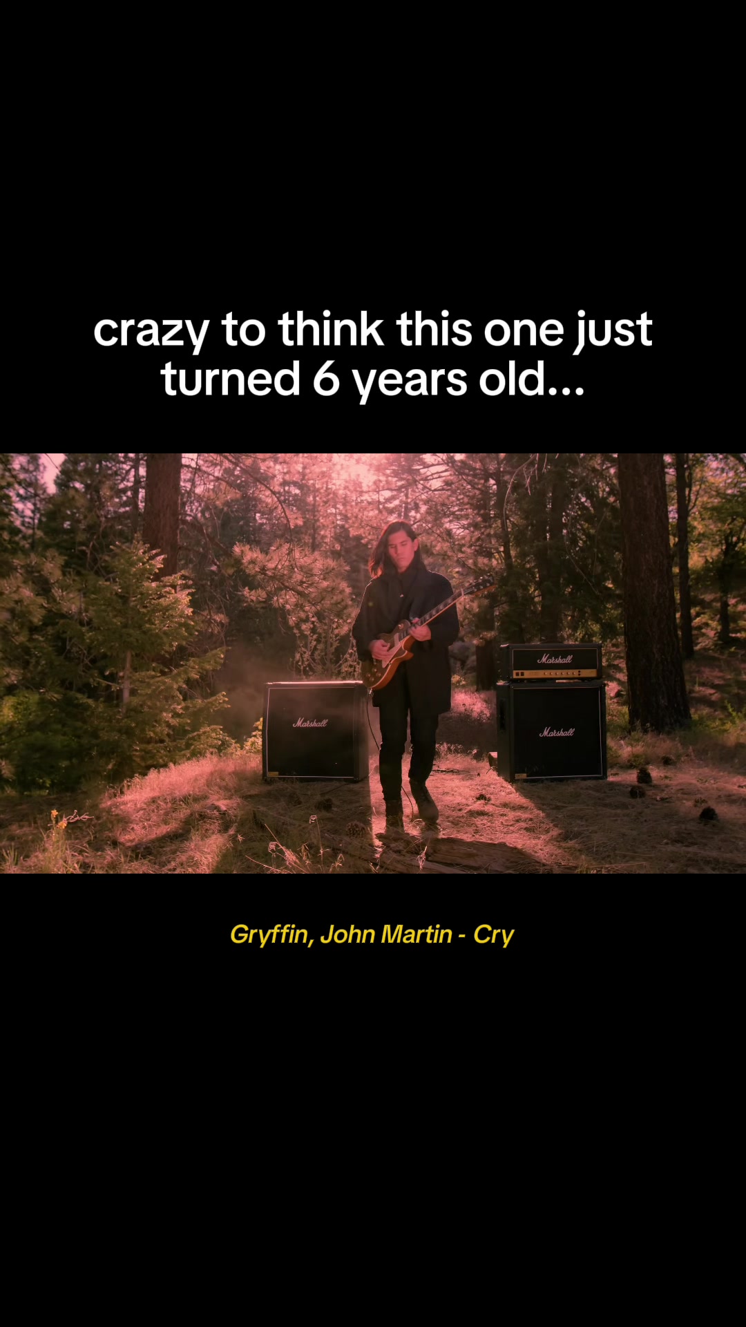 @Gryffin