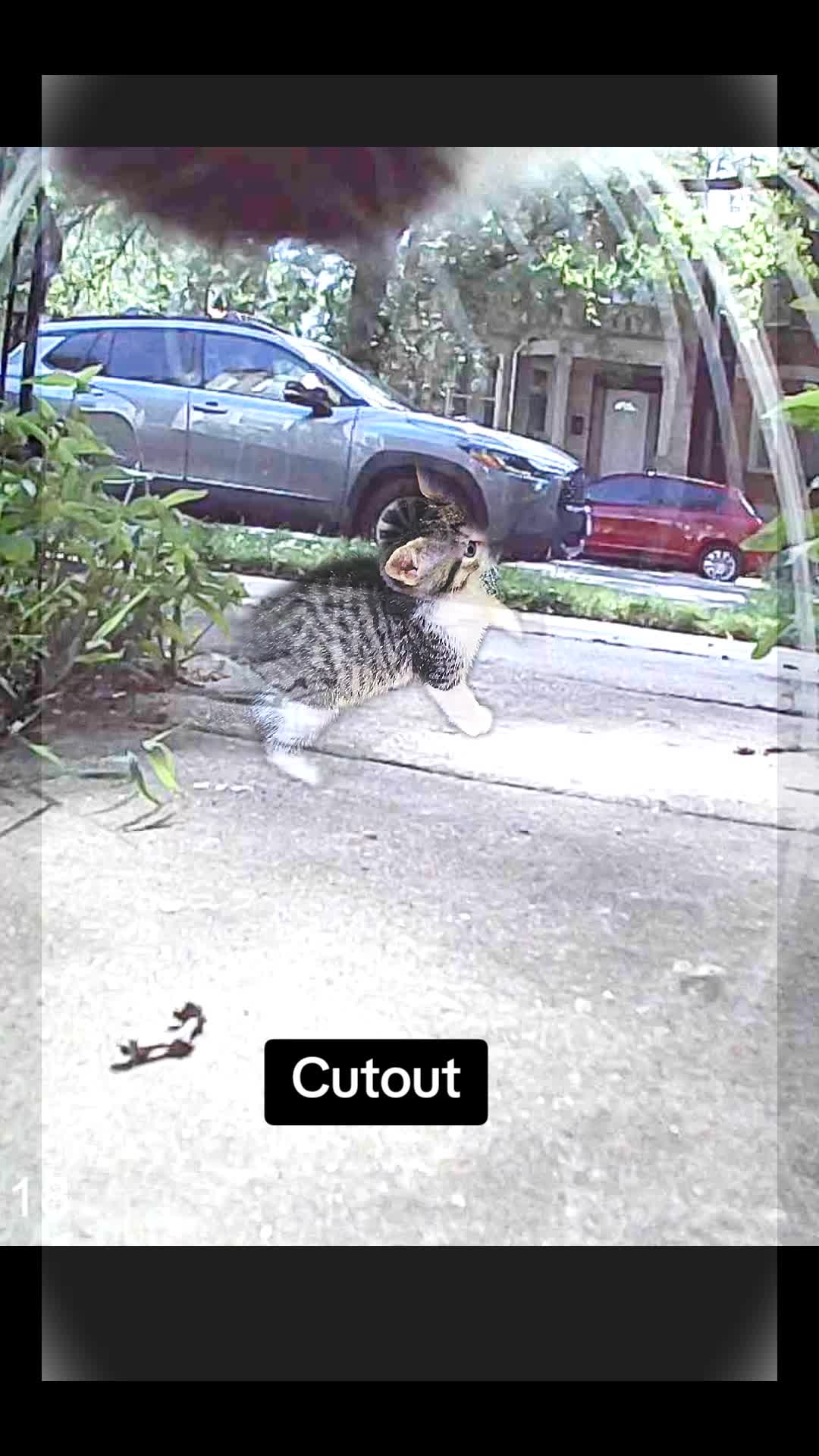 @Kata Kitty