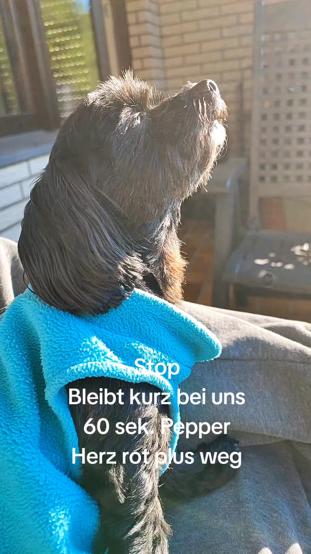 @P&ouml;ppi