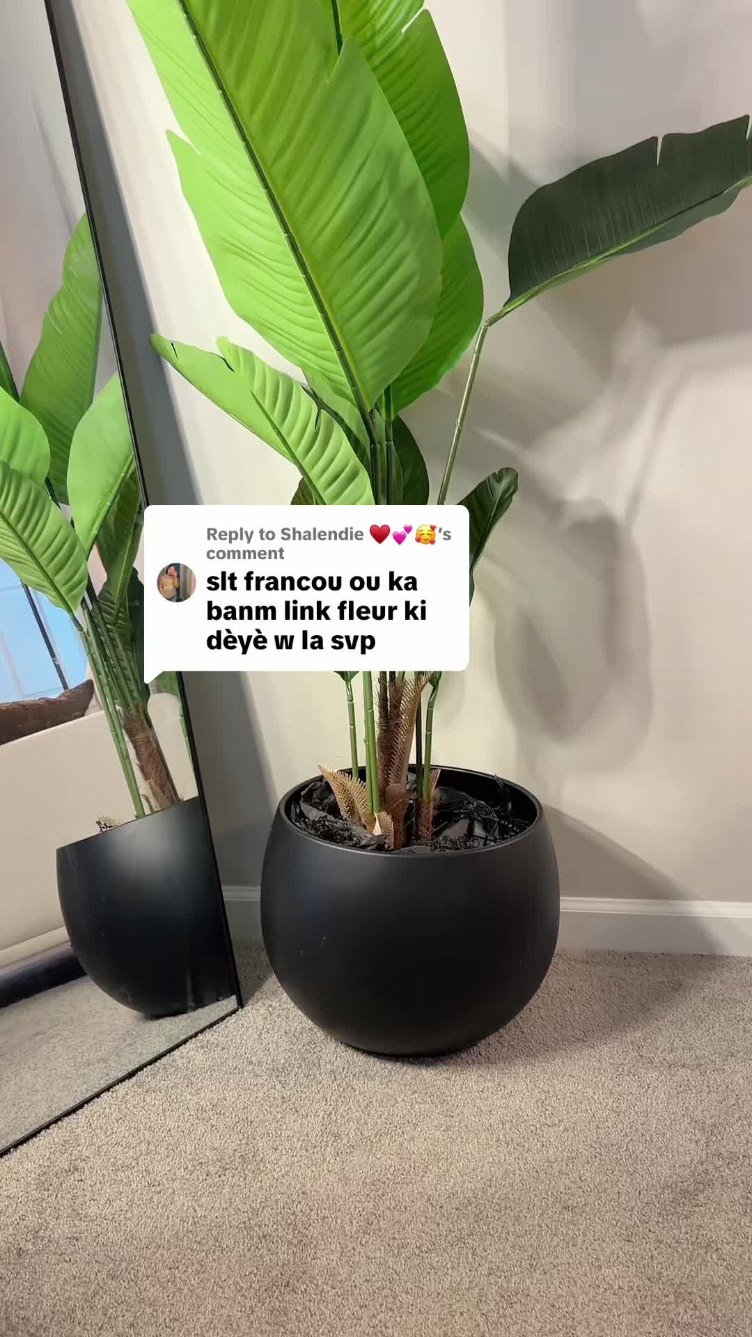 @FRANCOU