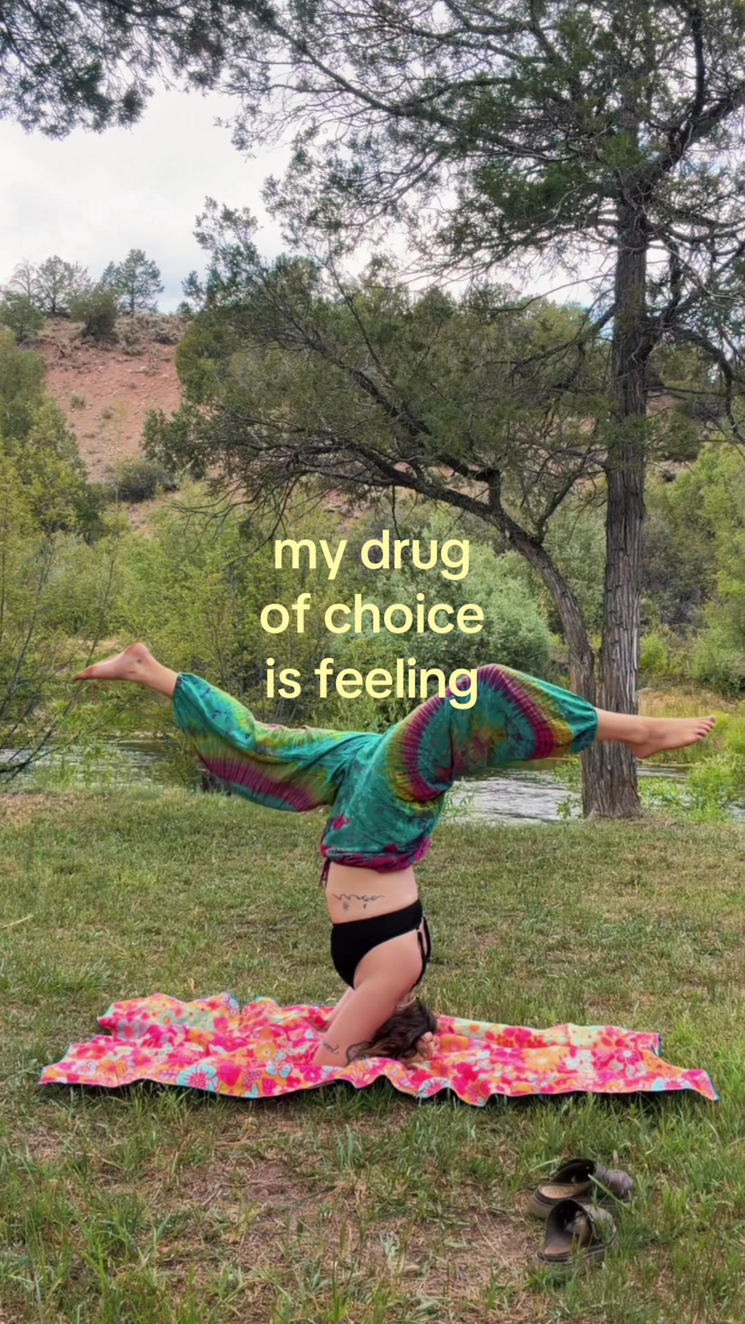 @𝓪𝓼𝓱𝓵𝓮𝓮 𖦹⋆ ˚｡✮ ⋆｡&deg; ☮︎