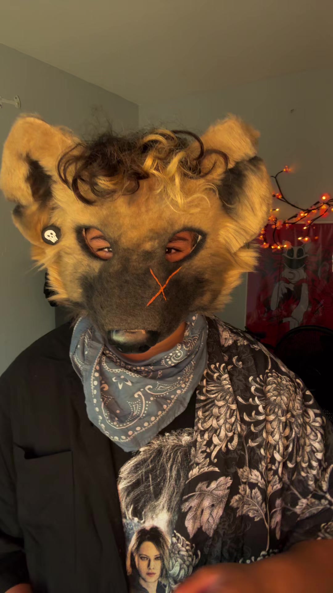 @collieollieboy