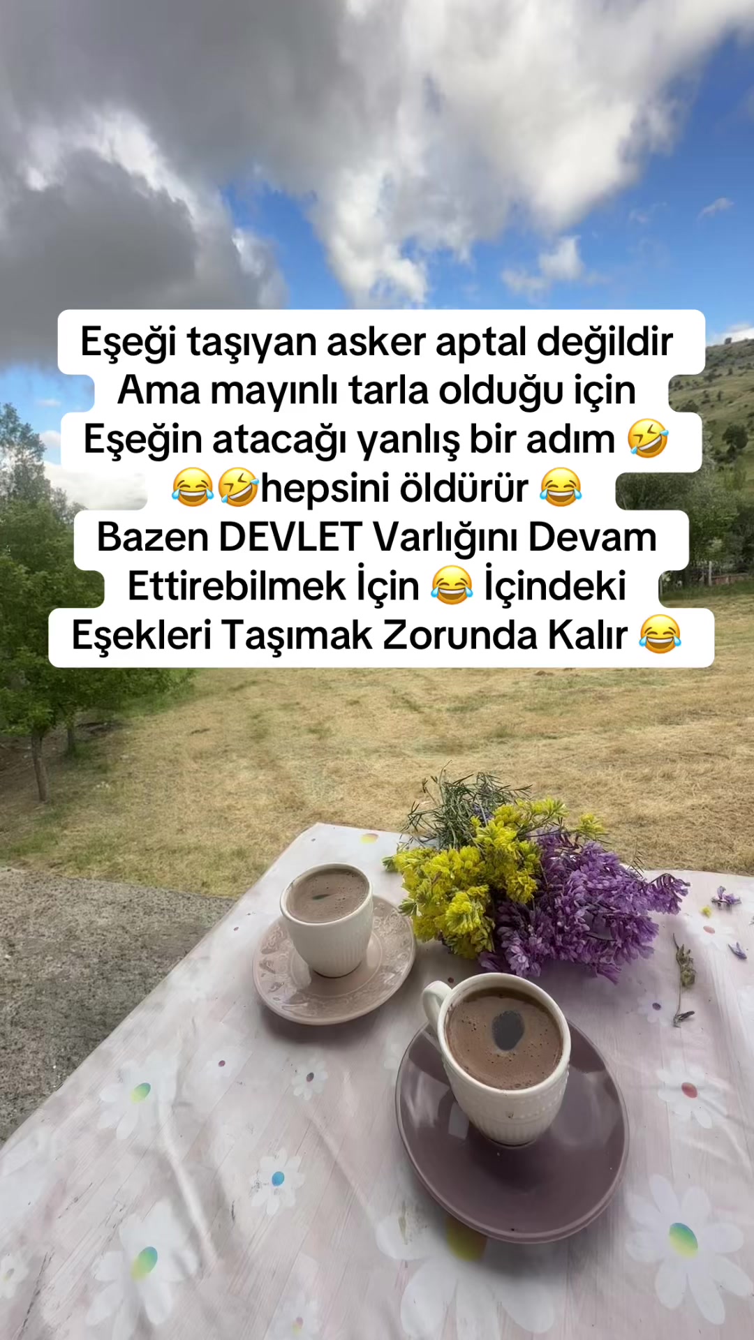@58Tülay34