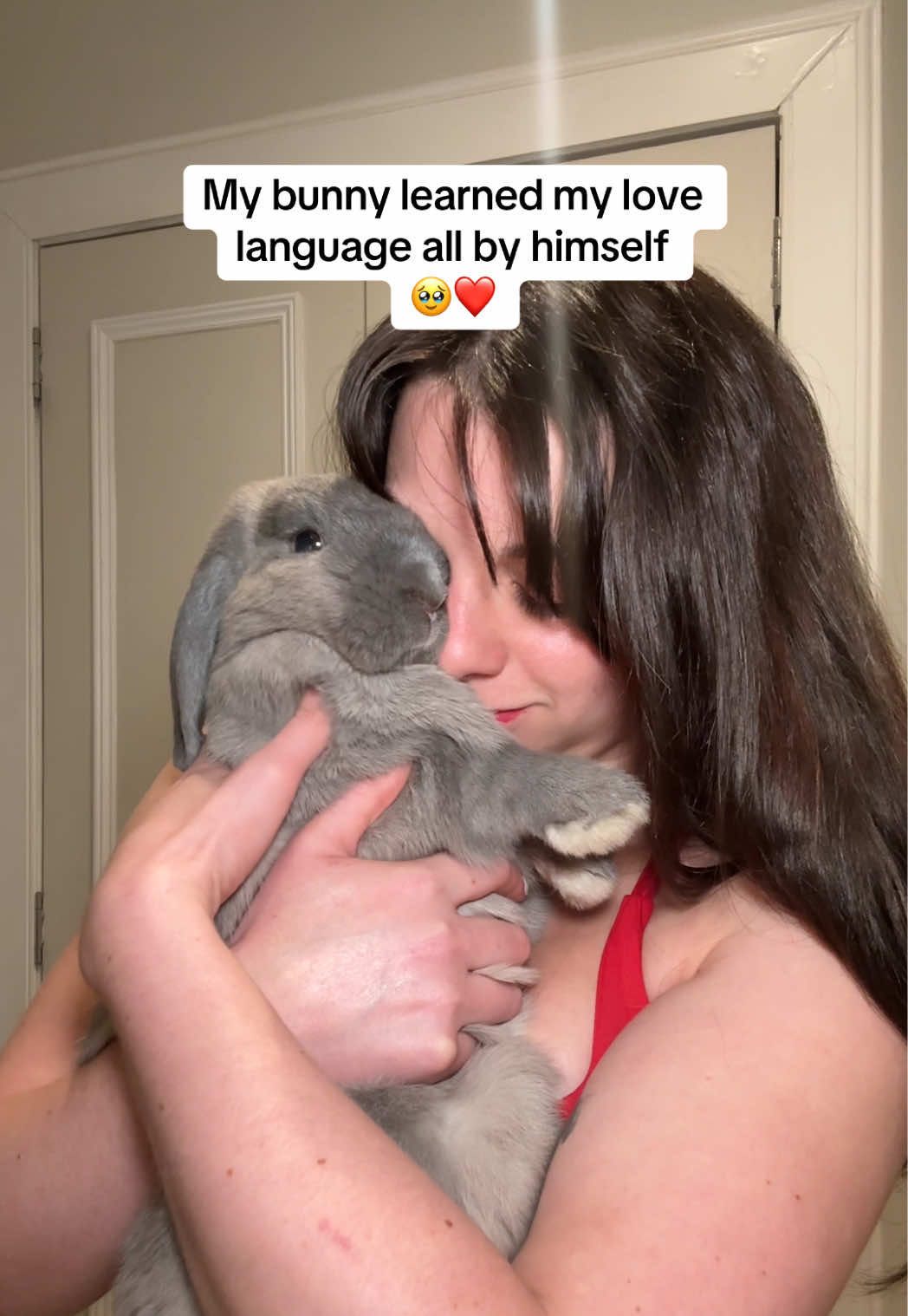 @Buzz the Bunny