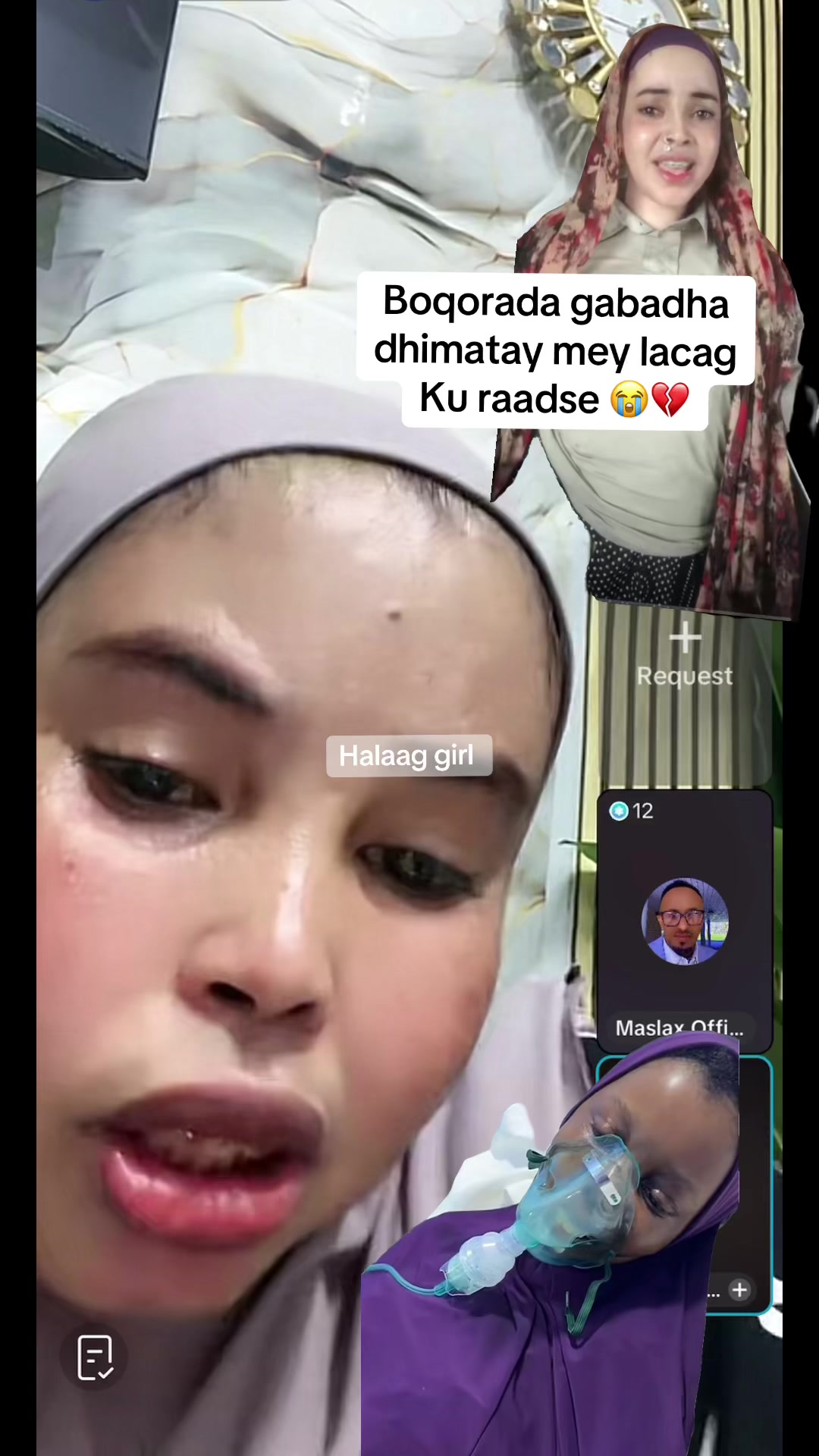@Halaag girl 🦂📺