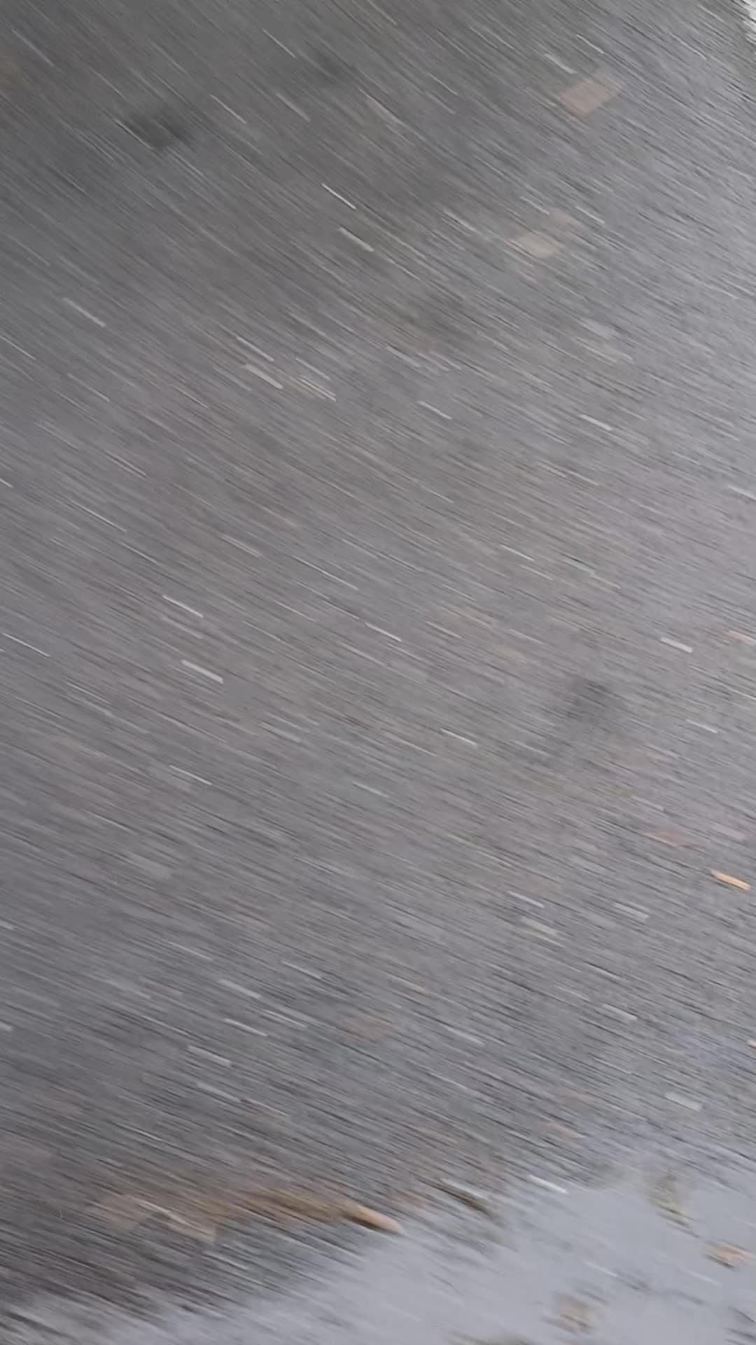 @red_Beard99