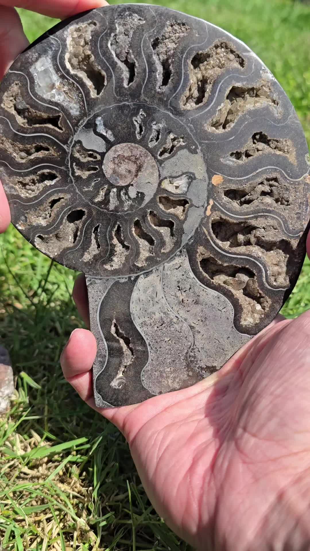 @Agate Magnet