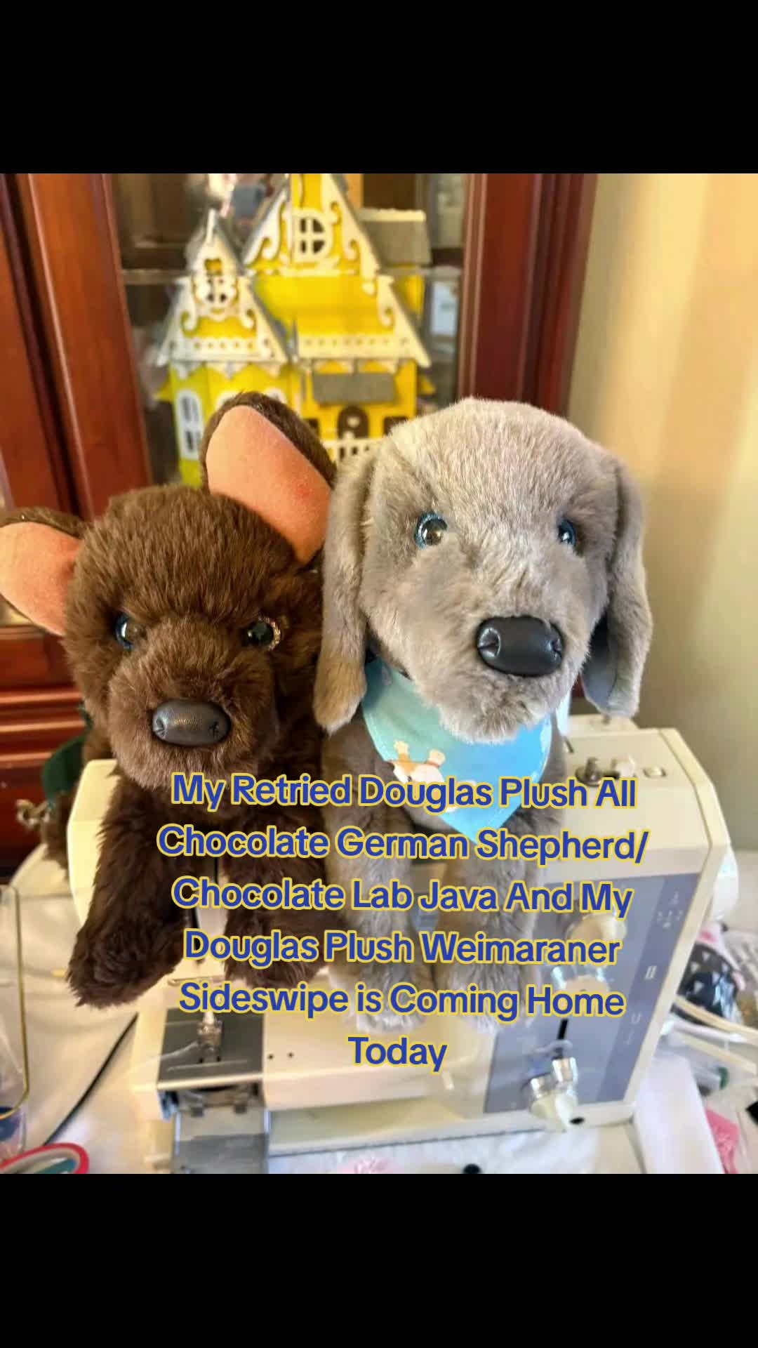 @🪸🦭🪼IsabellaandDino🪸🫍🐬