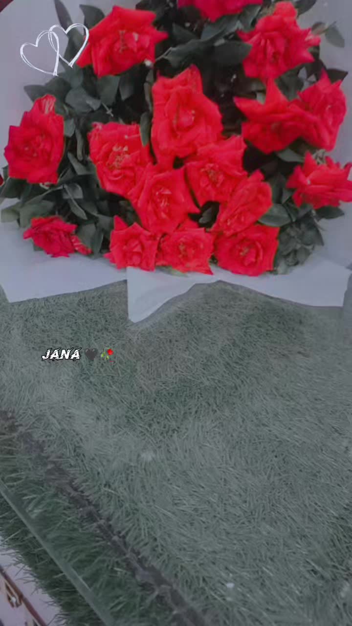 @Komal Murtaza