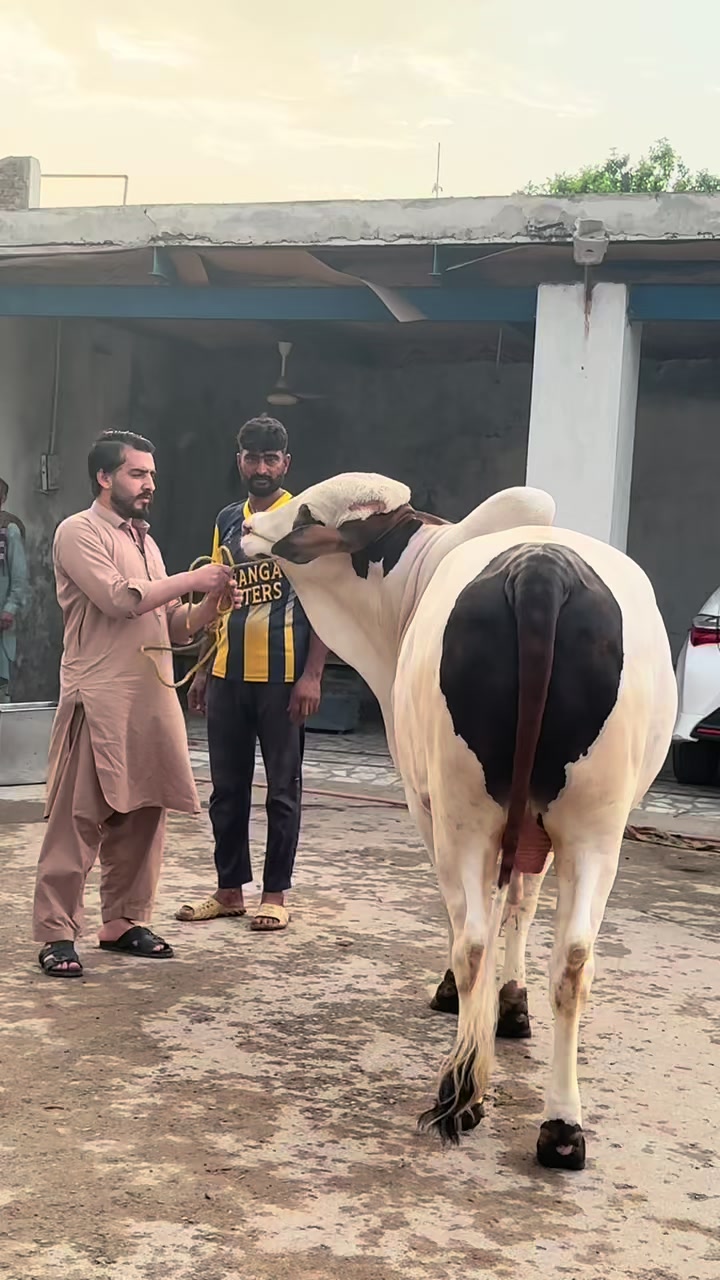 @Shahbaz Khan