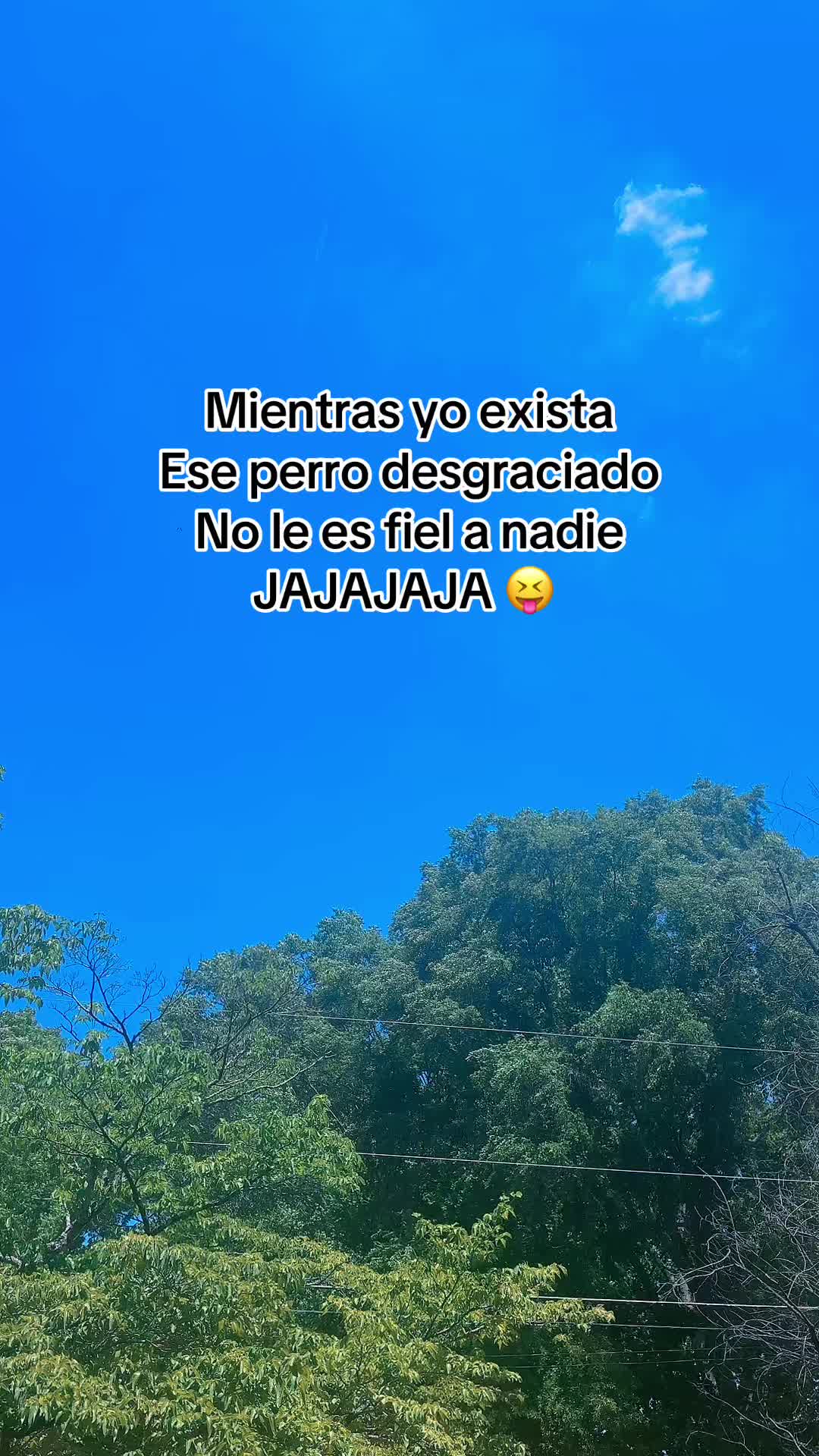 @🥰Any🥰