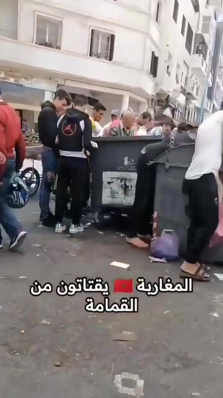 @domi🎲nos 🇩🇿