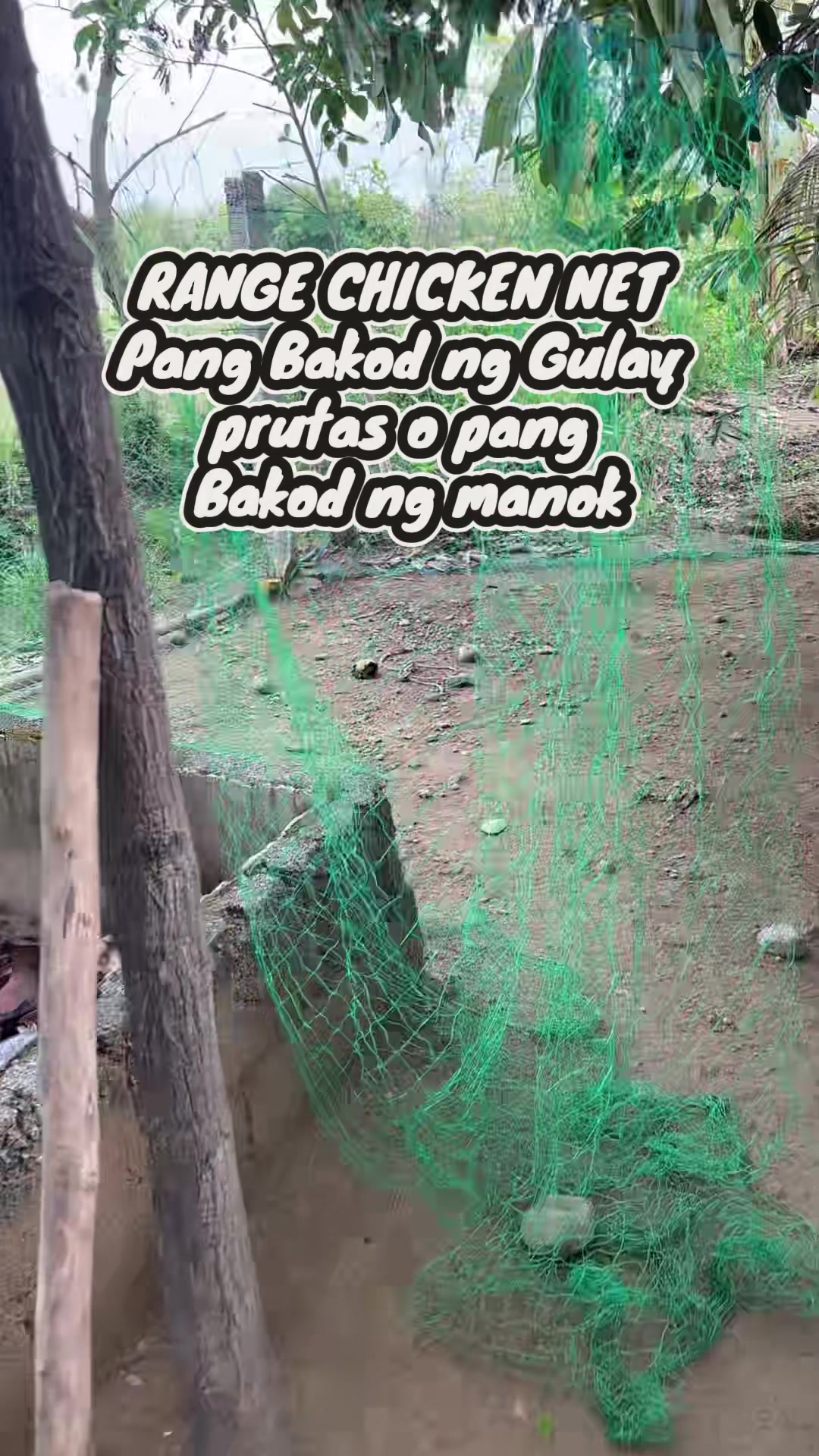 @BOSS MADAM HANNAH