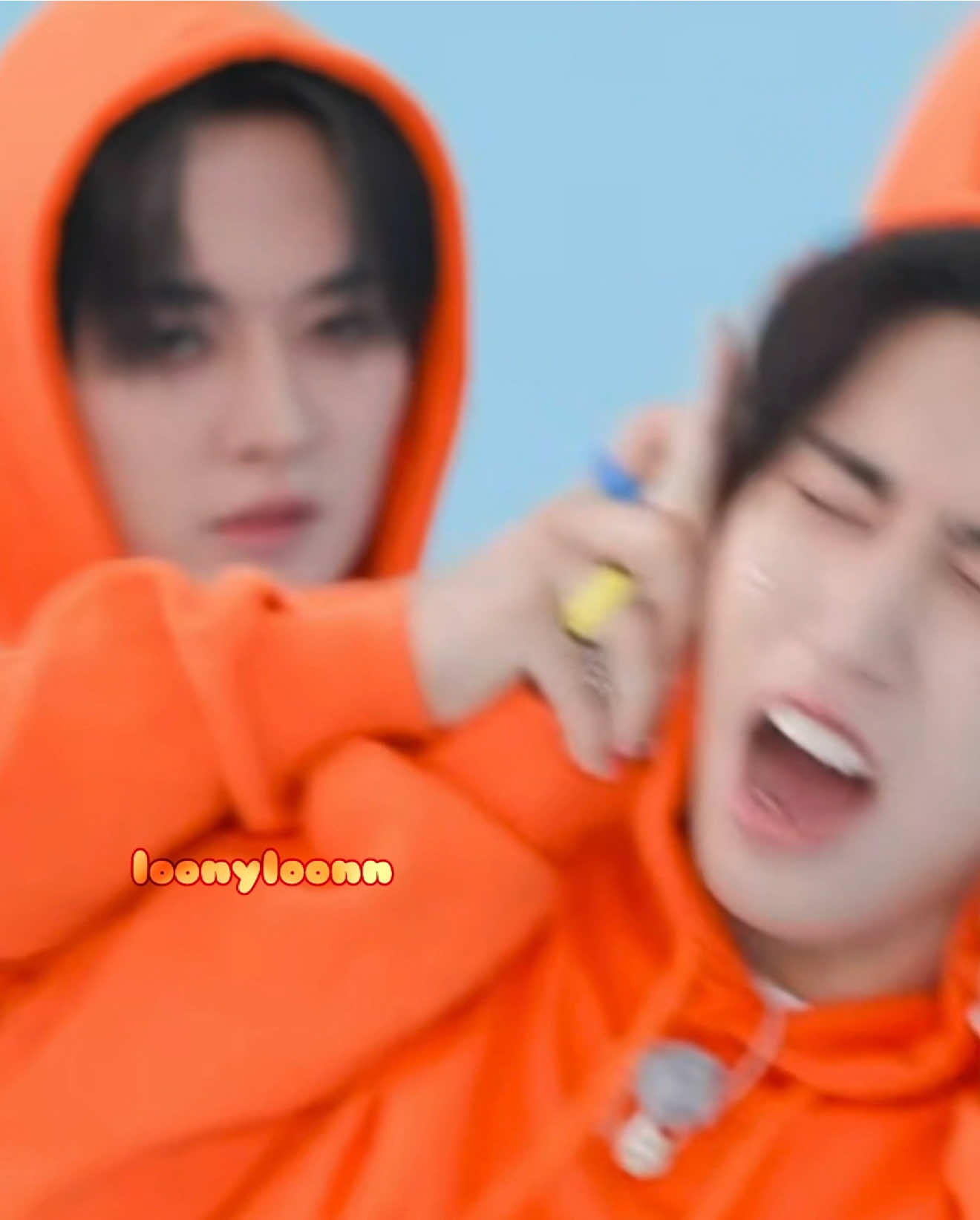 @loonyloonn