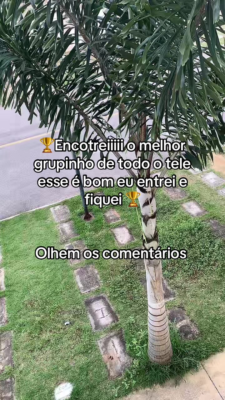 @apenasomelhor