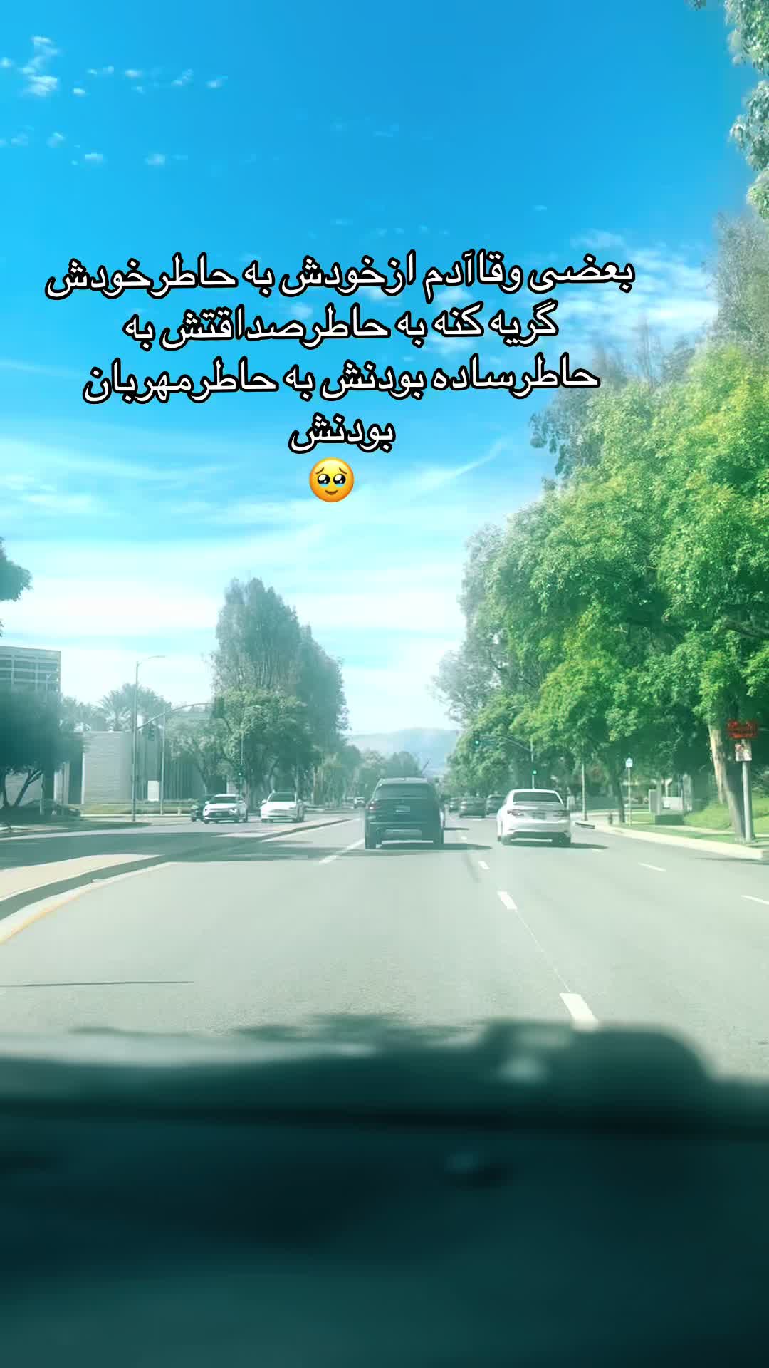 @asaljan0012